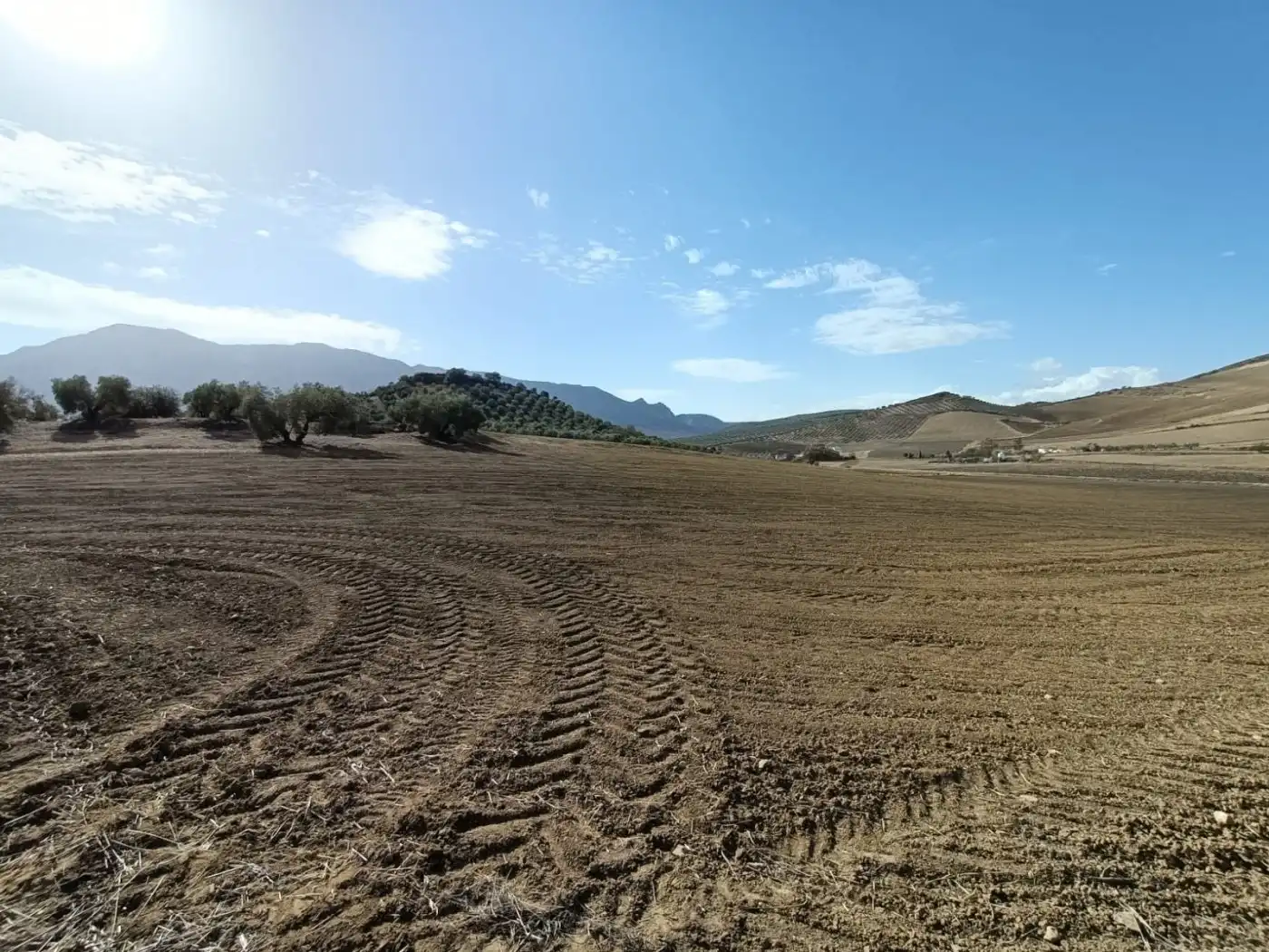 Terreni e lotti in vendita a Bobadilla - Bobadilla Estación - La Joya, imagen 5