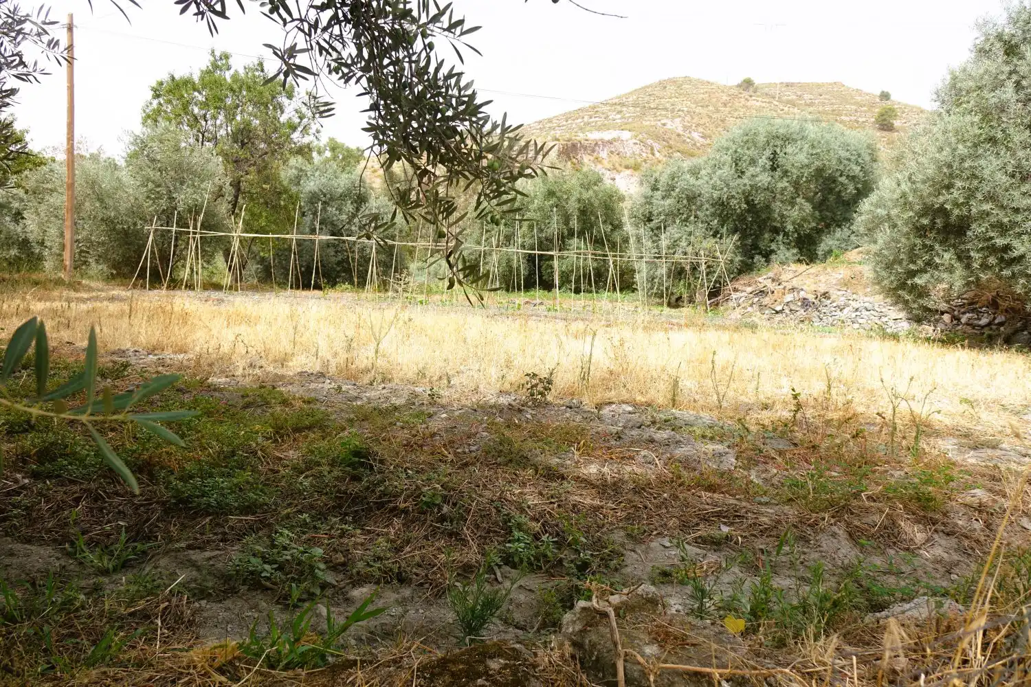 Finca rústica en venda en Órgiva