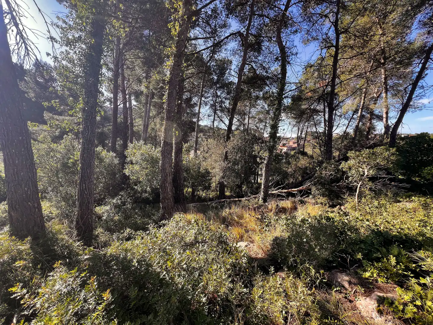 Residential land for sale in Vallirana, imagen 8