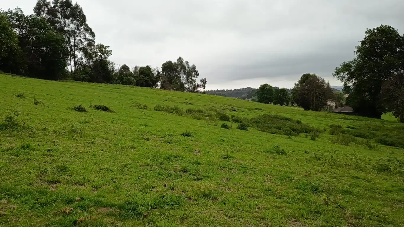 Grundstücke und Bauplätze zum Verkauf in Caserio La Laguna, imagen 8