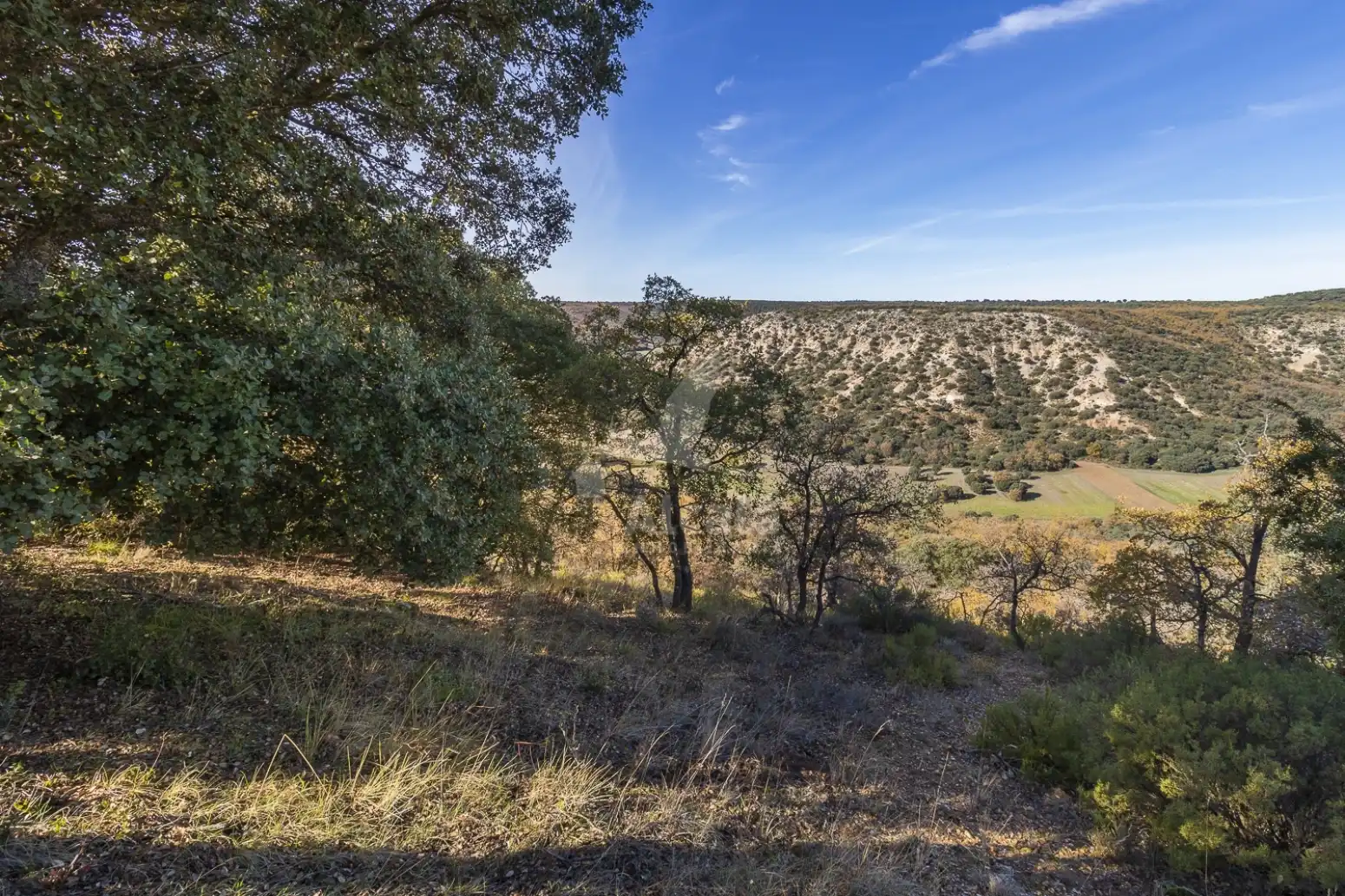 Terreno en venta en Yebes