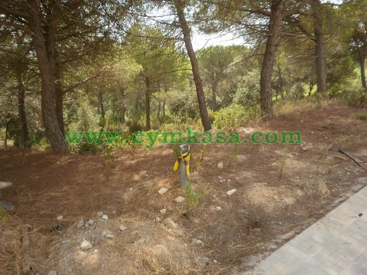 Terreno residencial en venta en Mas Mora - Sant Daniel