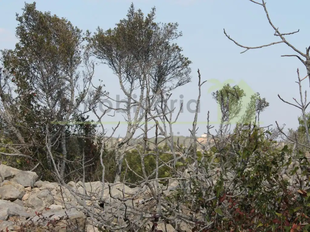 Rural land for sale in Poligono Poligono 50, imagen 4