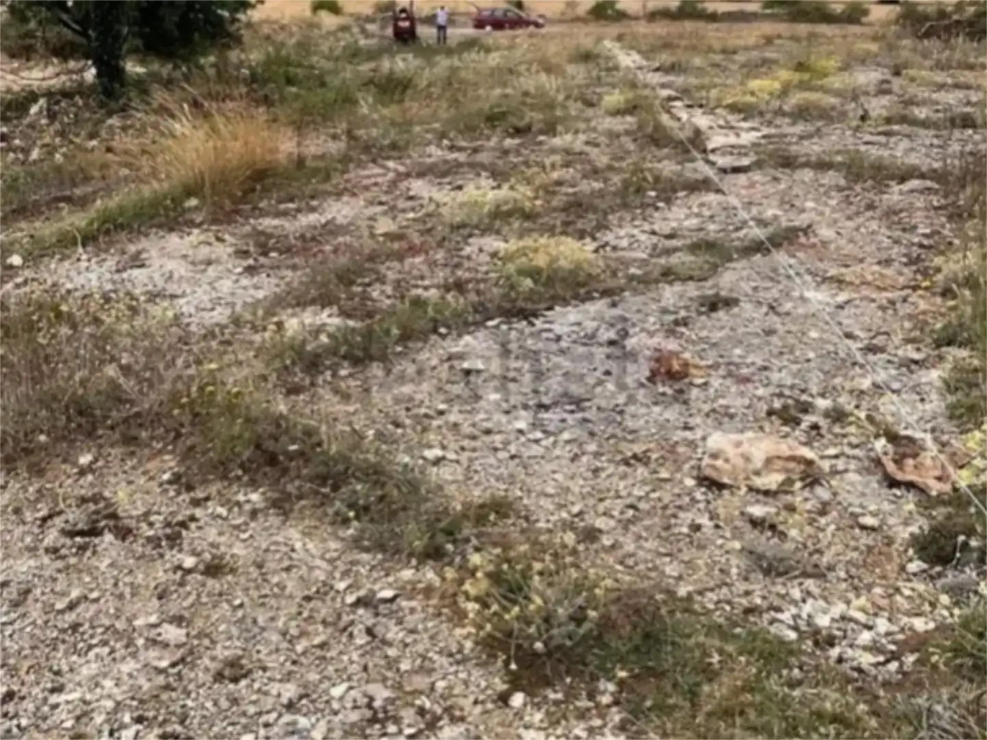 Land for sale in Valle de Losa