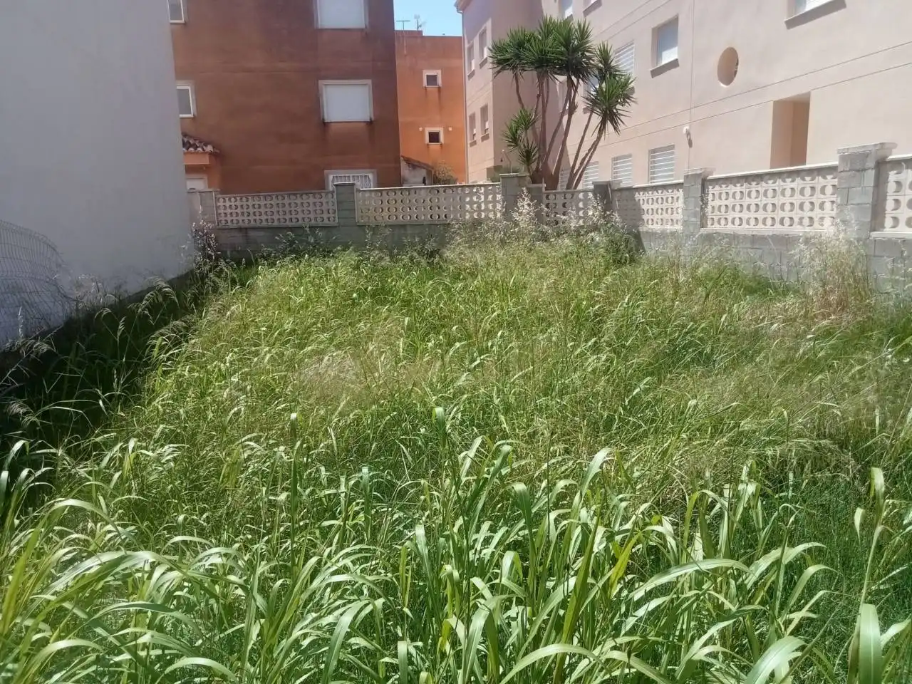 Terreny residencial en venda a Avenida Safor, imagen 2