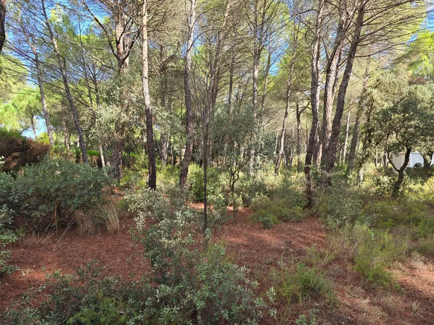 Terreno residenziale in vendita a Pedanías - Extrarradio, imagen 8