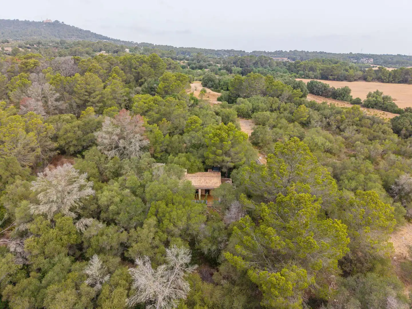 Finca rústica en venda en Petra amb Jardí privat, Terrassa i Traster