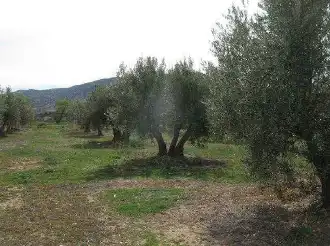Rural land for sale in Cm Orce, imagen 15