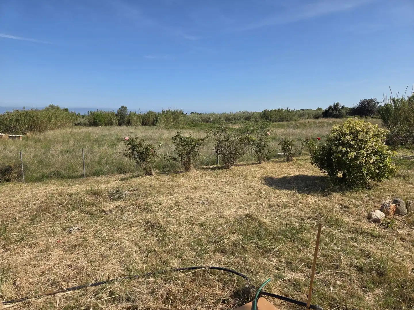 Finca rústica en venta en Benicarló con Piscina