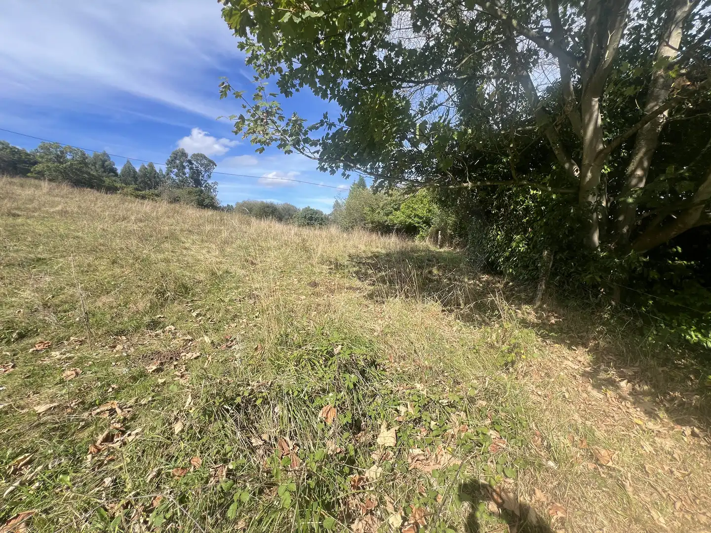 Lands and plots for sale in Pillarno, imagen 15