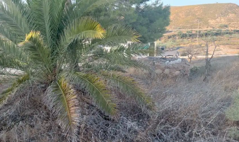 Maison à vendre à Sorbas, imagen 15