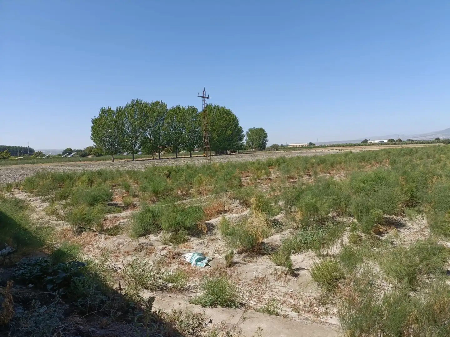 Terreno rústico en venta en Desconocido Gr-3401 de a-92 a Estacion de Illora