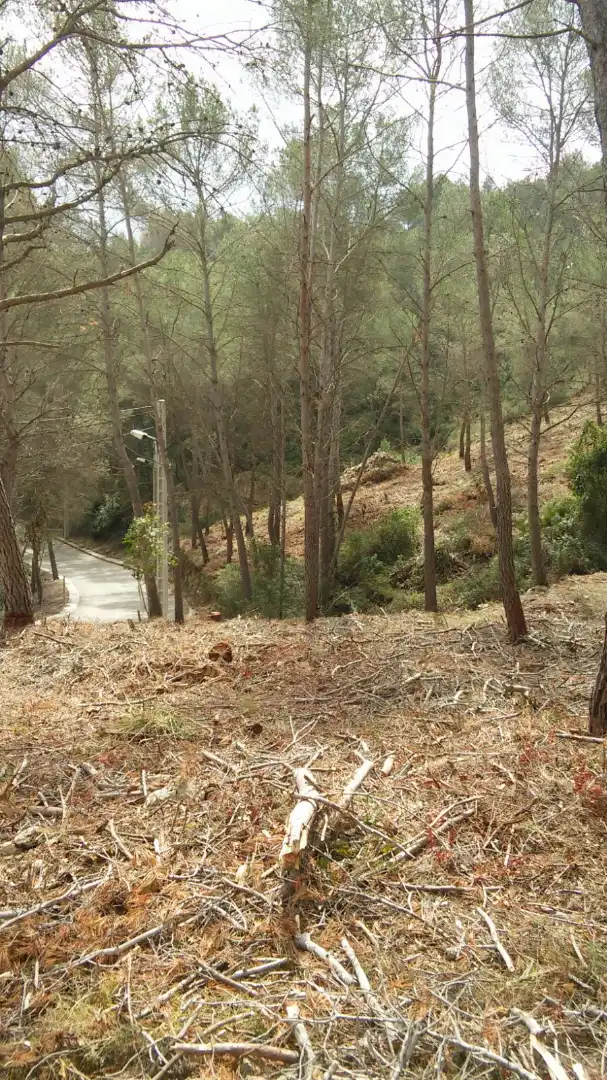 Terreno residencial en venta en Carrer de L'Estṛella 6, imagen 21