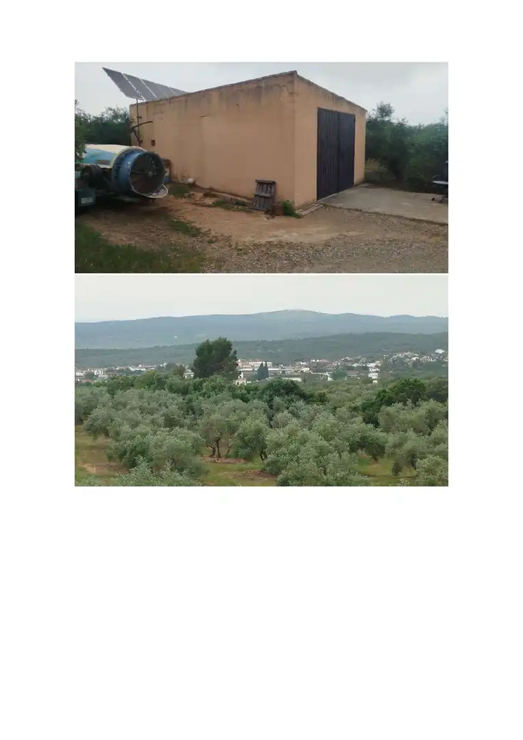 Terreno en venta en Hornachuelos
