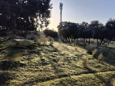 Terreno rustico in vendita a Cerro Alarcón