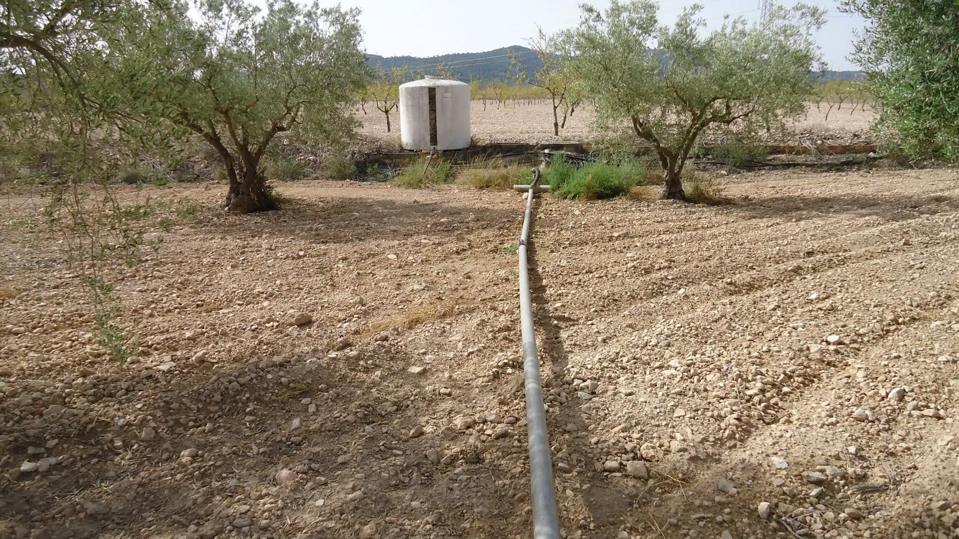 Rustikales Grundstück zum Verkauf in Jumilla, imagen 11