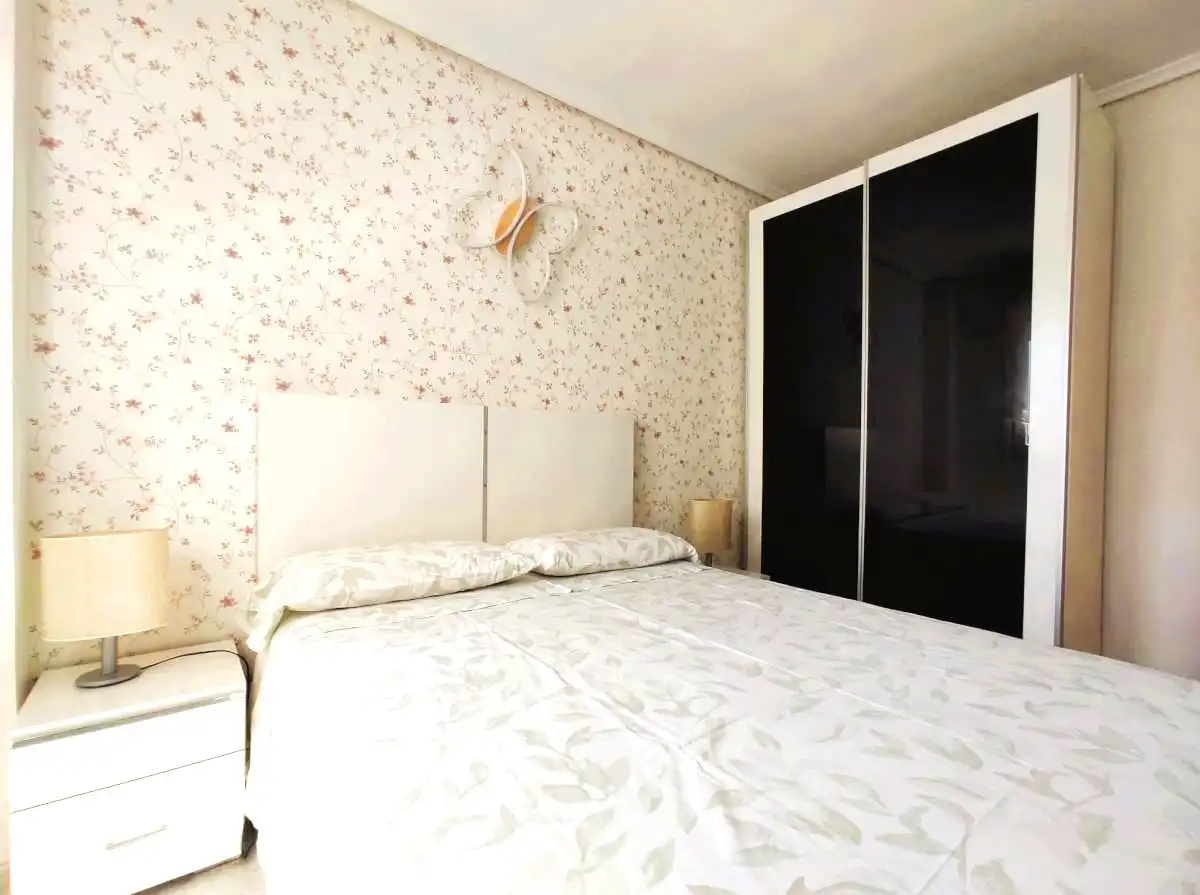 Apartment with lift for sale in Avenida Blasco Ibáñez, imagen 11