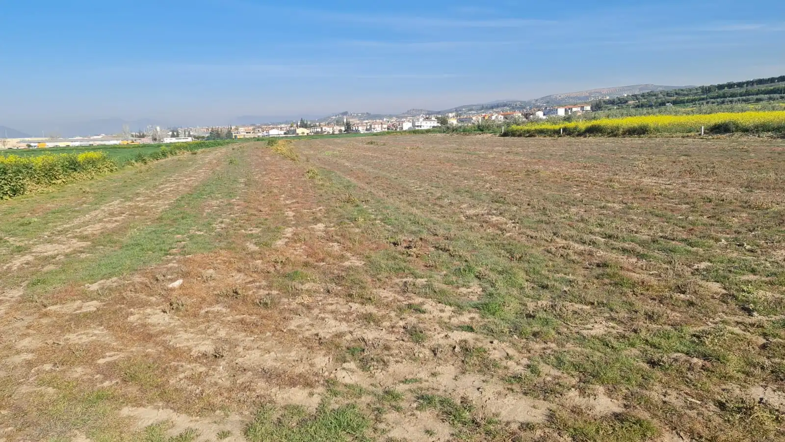 Rustikales Grundstück zum Verkauf in Avenida de Cartuja, imagen 4