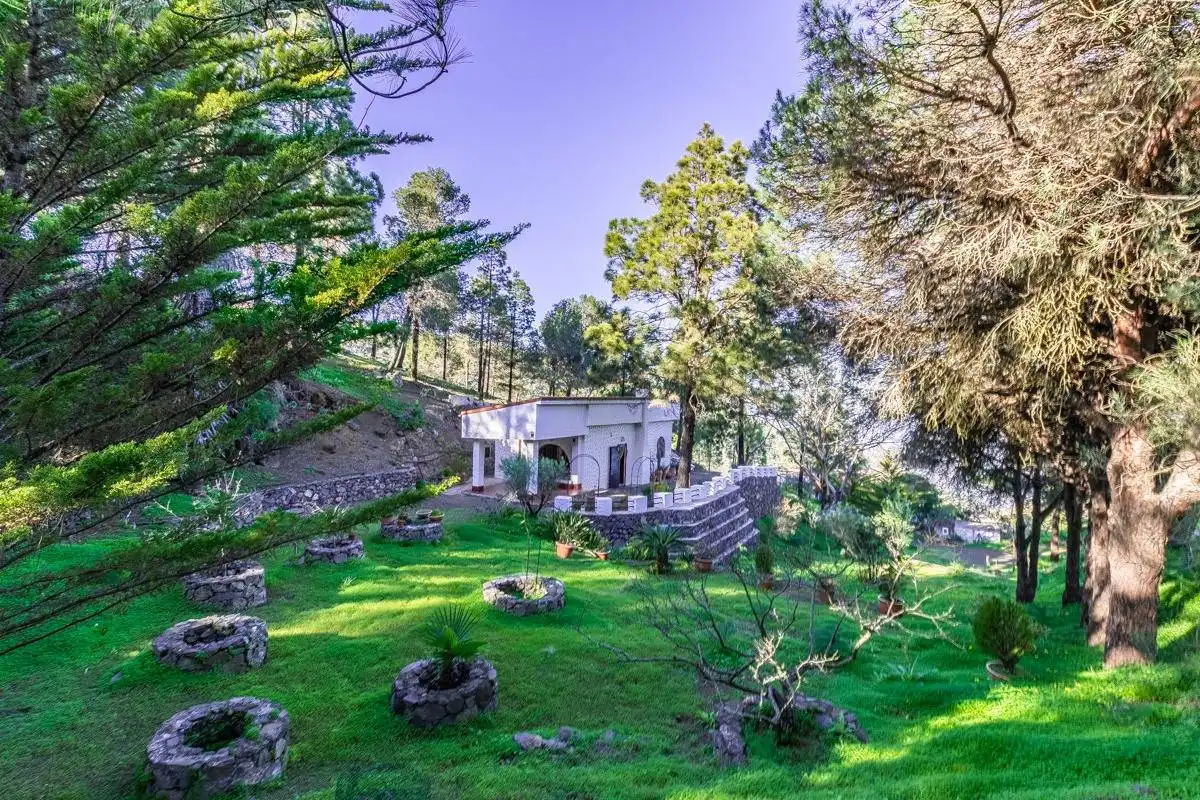 Jardí de Casa o xalet en venda en Telde amb Jardí privat