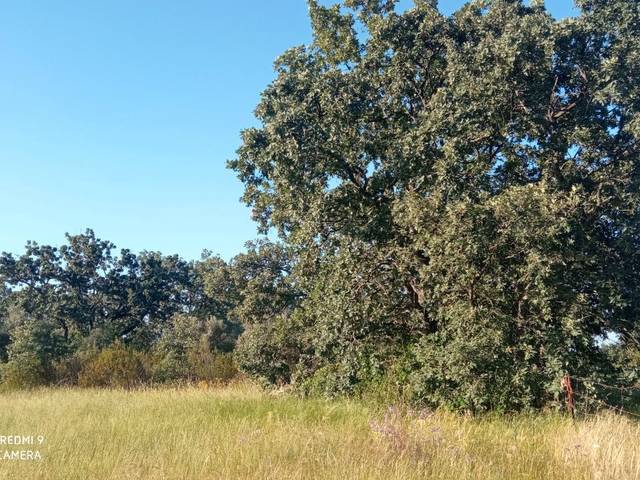 Terreno en Venta en Calle Calvario, 1 en Robledillo de la Vera