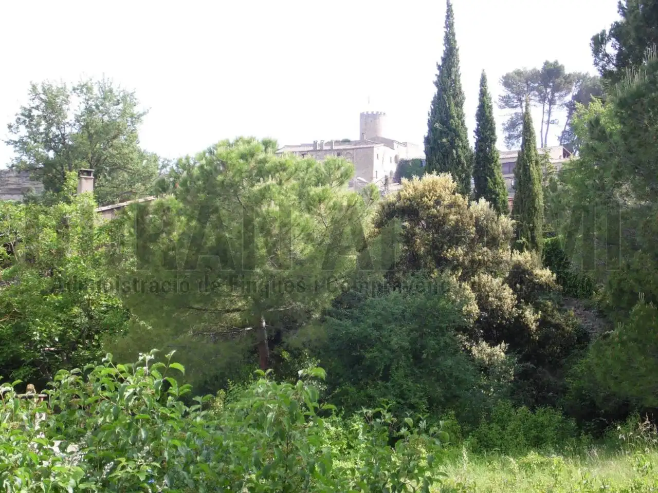 Garten von Grundstücke zum Verkauf in Talamanca