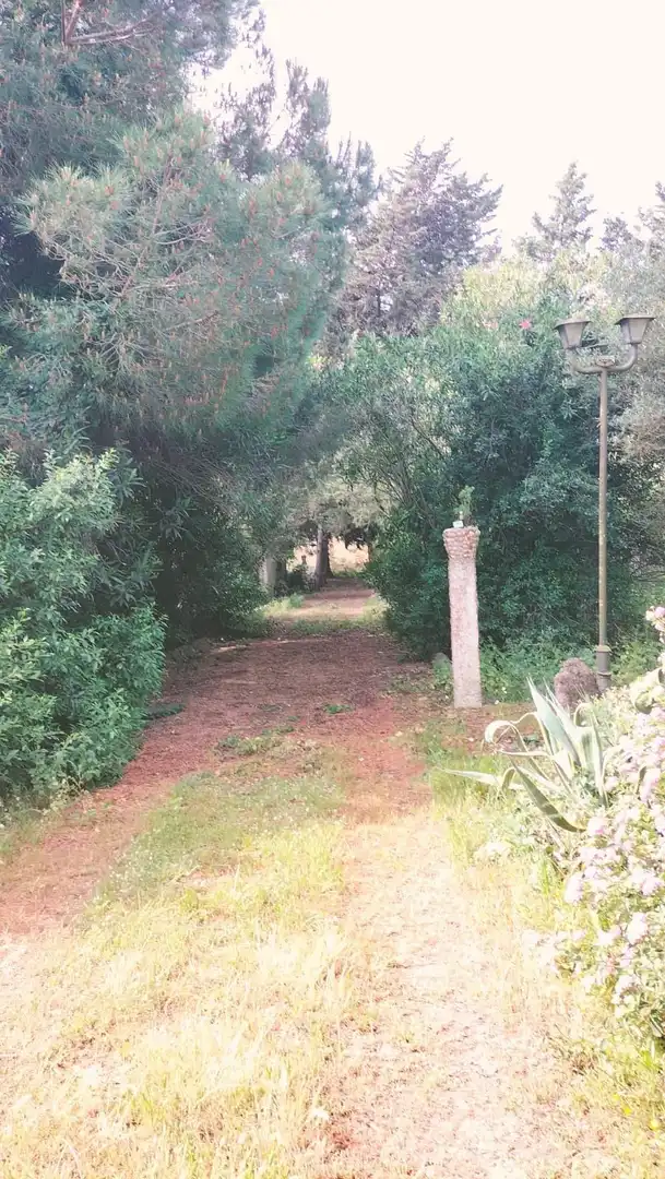 Casa con jardín en venta en Los Franceses – La Vega, imagen 2