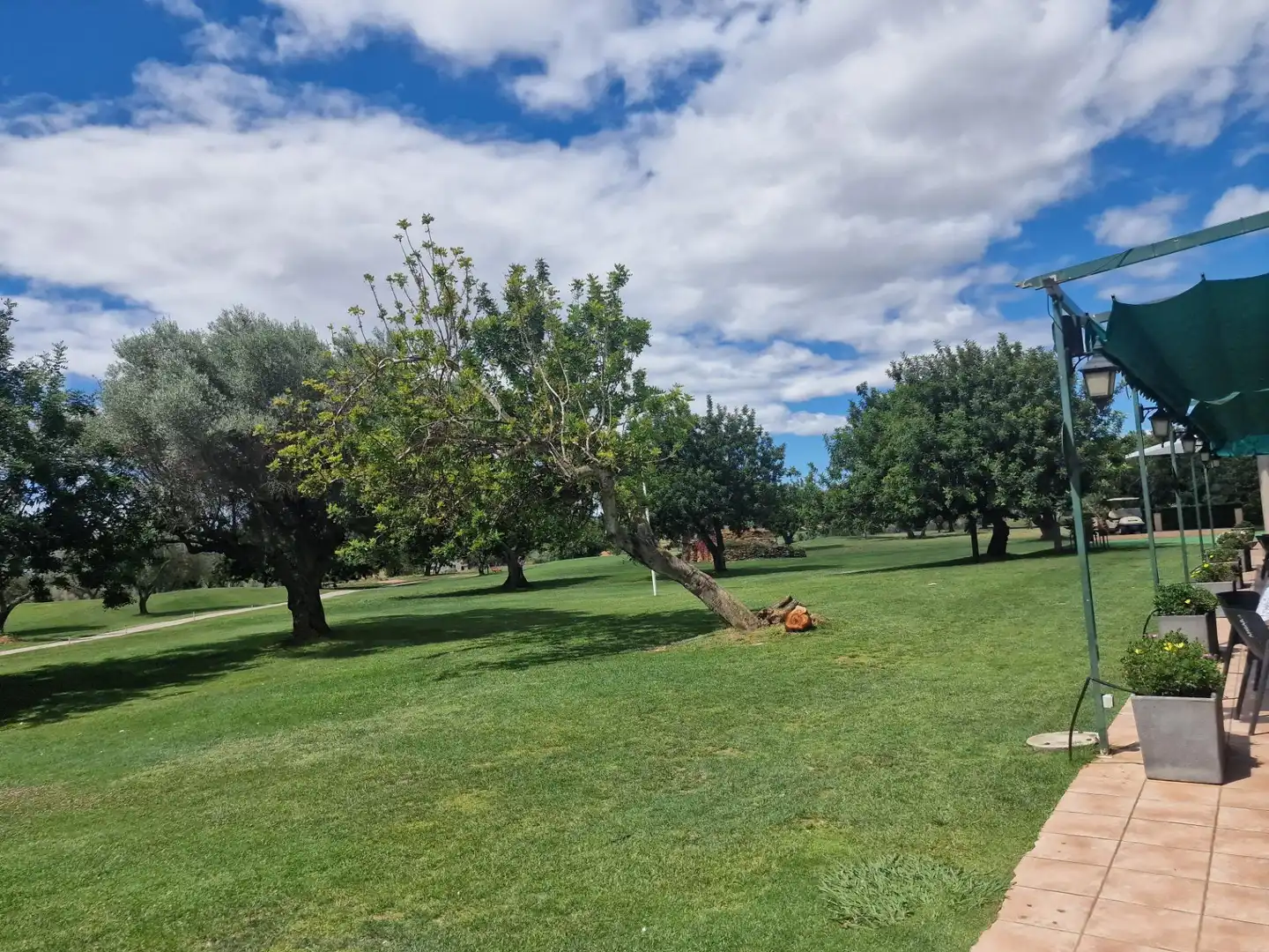 Appartement compact avec terrasse à vendre à San Jorge / Sant Jordi, imagen 5