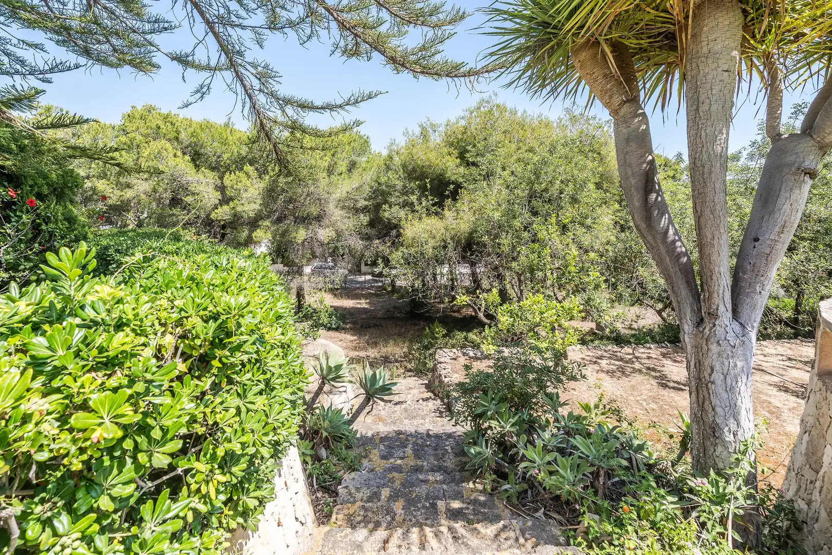 Chalet con piscina en venta en Cap Martí - El Tossalet - Pinomar, imagen 11
