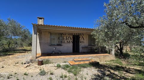 Photo 2 of Country homes for sale in Cervera del Maestre, Castellón