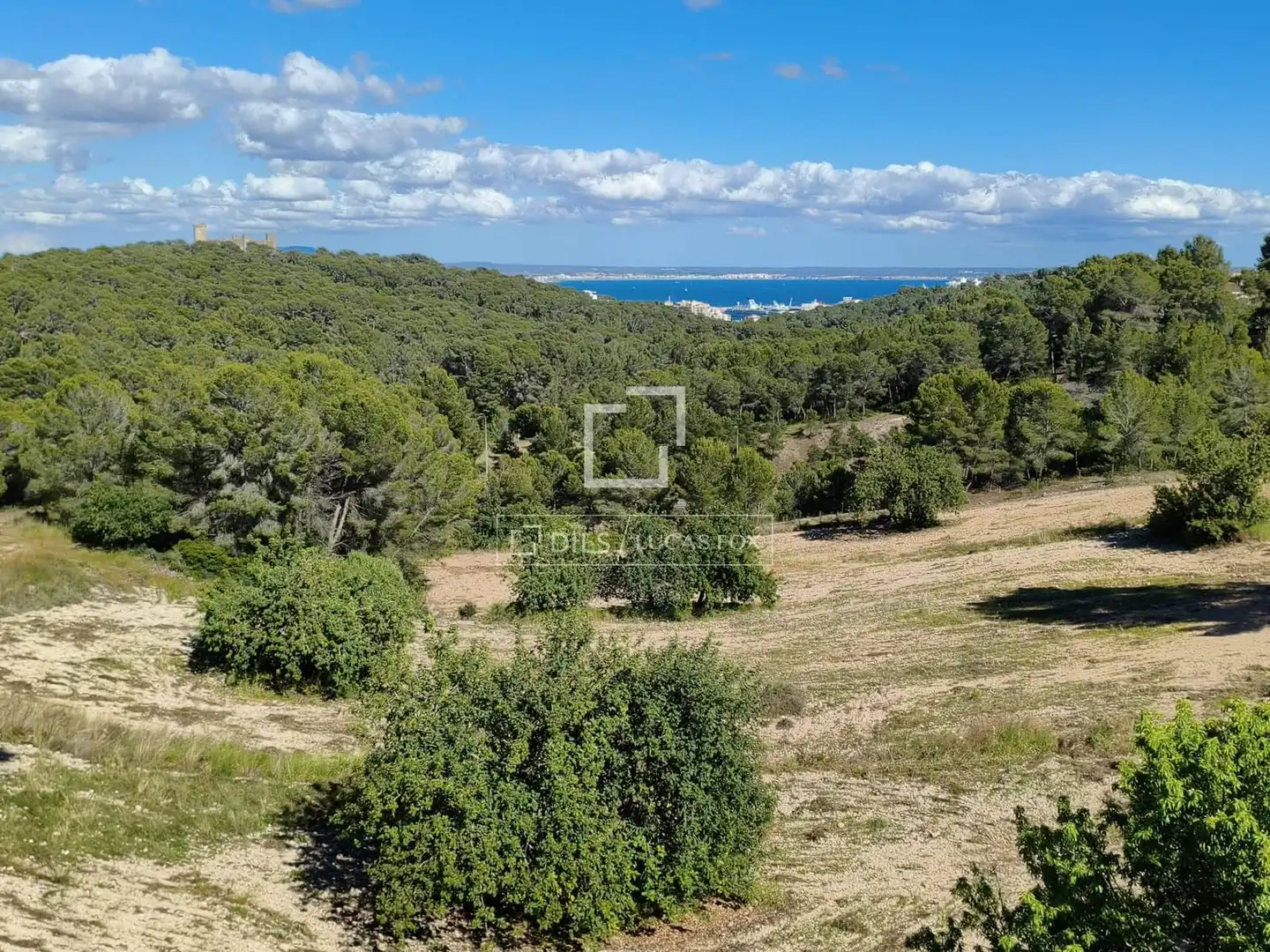 Casa o xalet en venda en  Palma de Mallorca amb Aire condicionat, Calefacció i Jardí privat