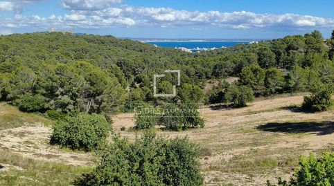 Foto 4 de Casa o xalet en venda a Génova, Palma de Mallorca