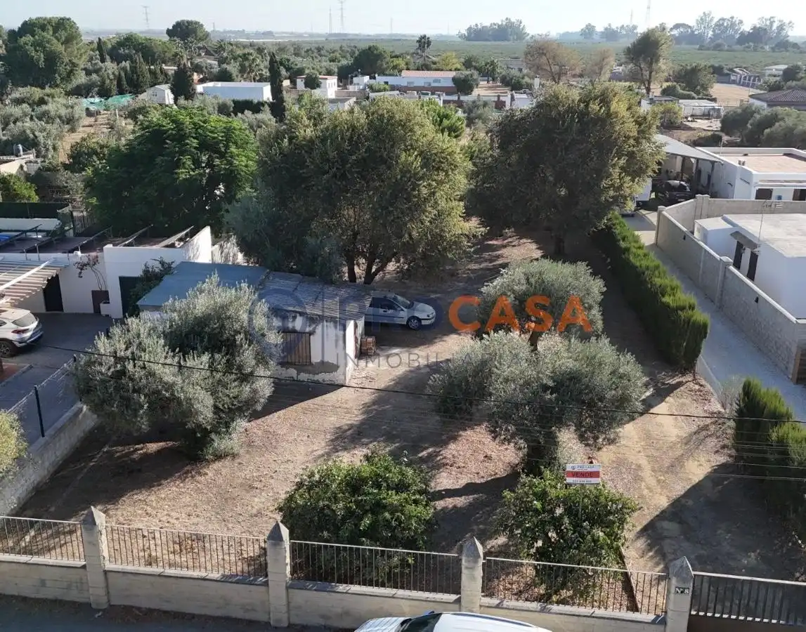 Vista exterior de Finca rústica en venda en Utrera