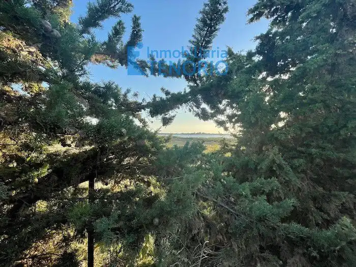 Casa o chalet en venta en El Rompido con Terraza