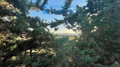 Photo 5 of Houses for sale in El Rompido, Huelva