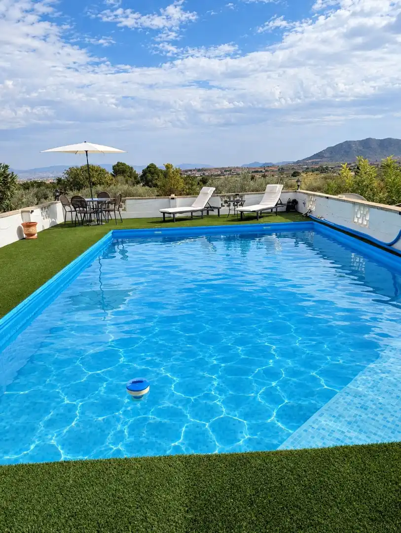 Swimming pool of Houses for sale in Caudete, Albacete