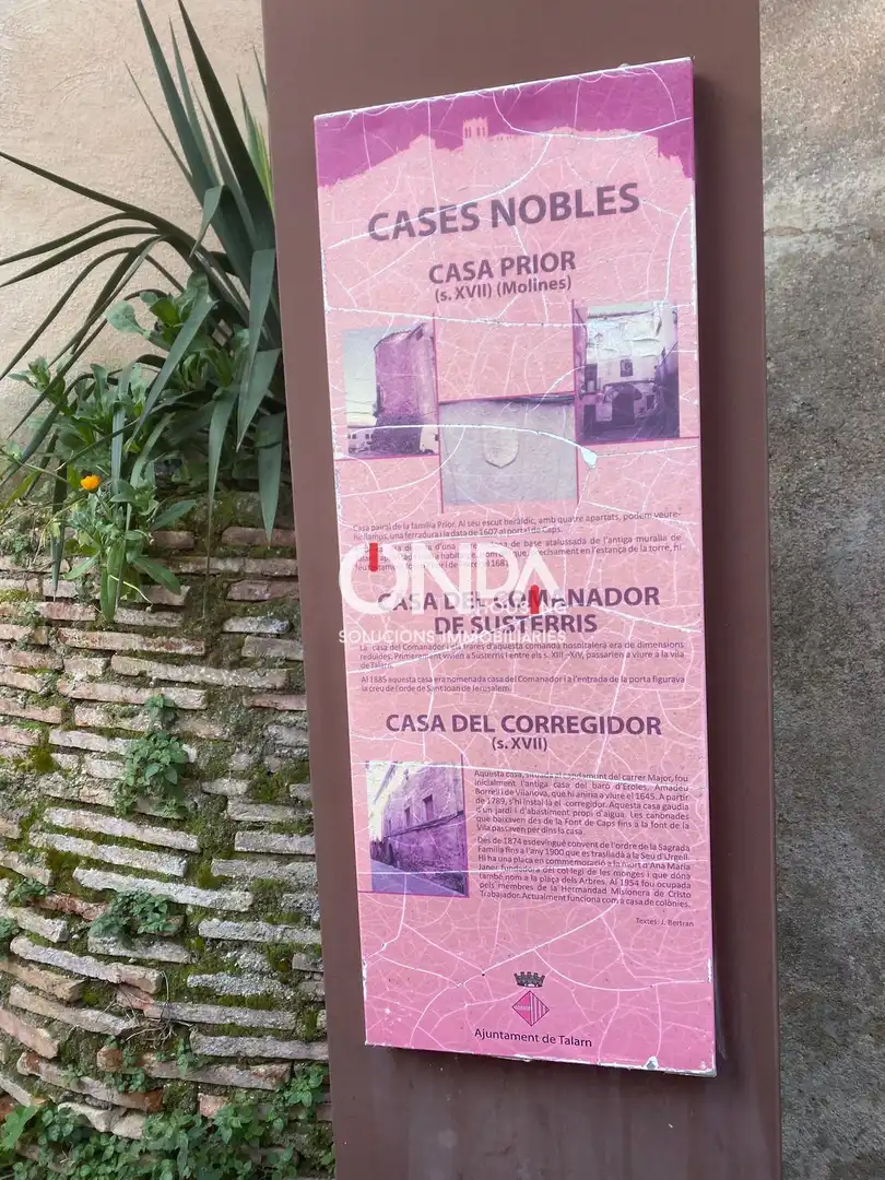 Vista exterior de Finca rústica en venta en Talarn con Trastero, Amueblado y Balcón