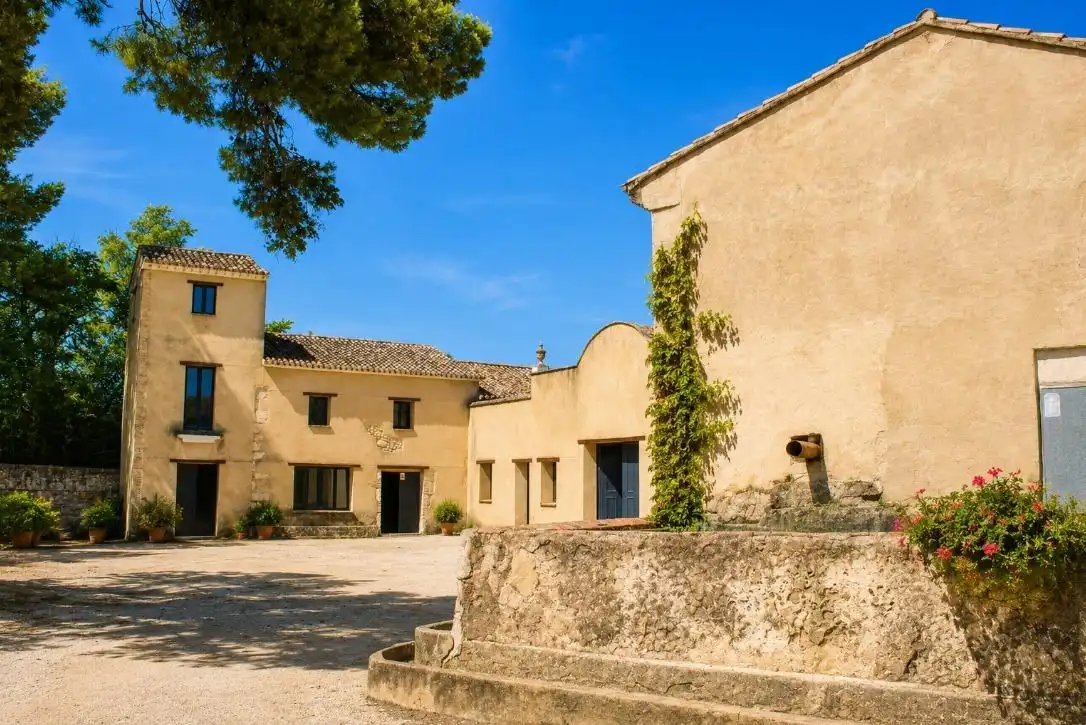 Vista exterior de Finca rústica en venta en Oliva