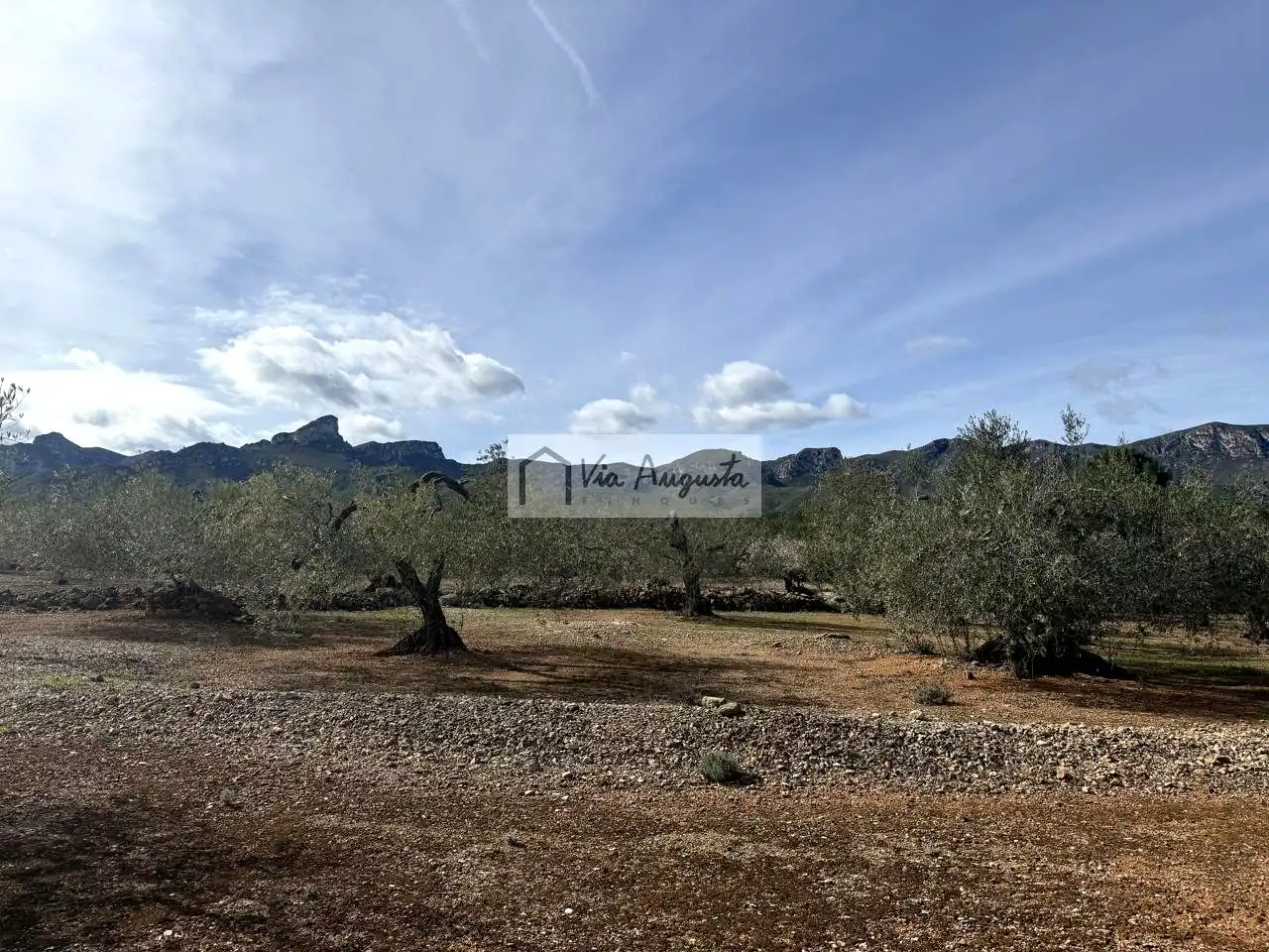 Terreno rustico in vendita a Burgà, imagen 2