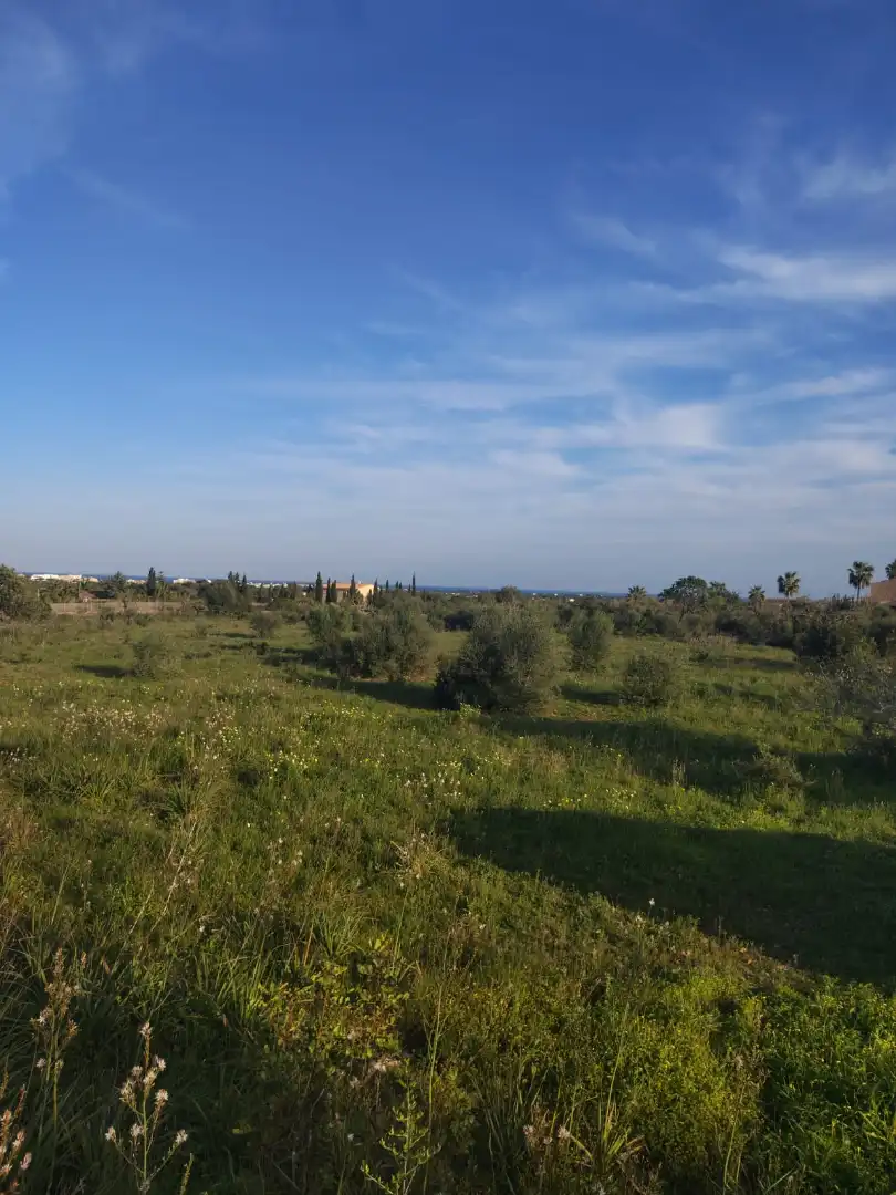 Rural land for sale in Cala Millor, imagen 3