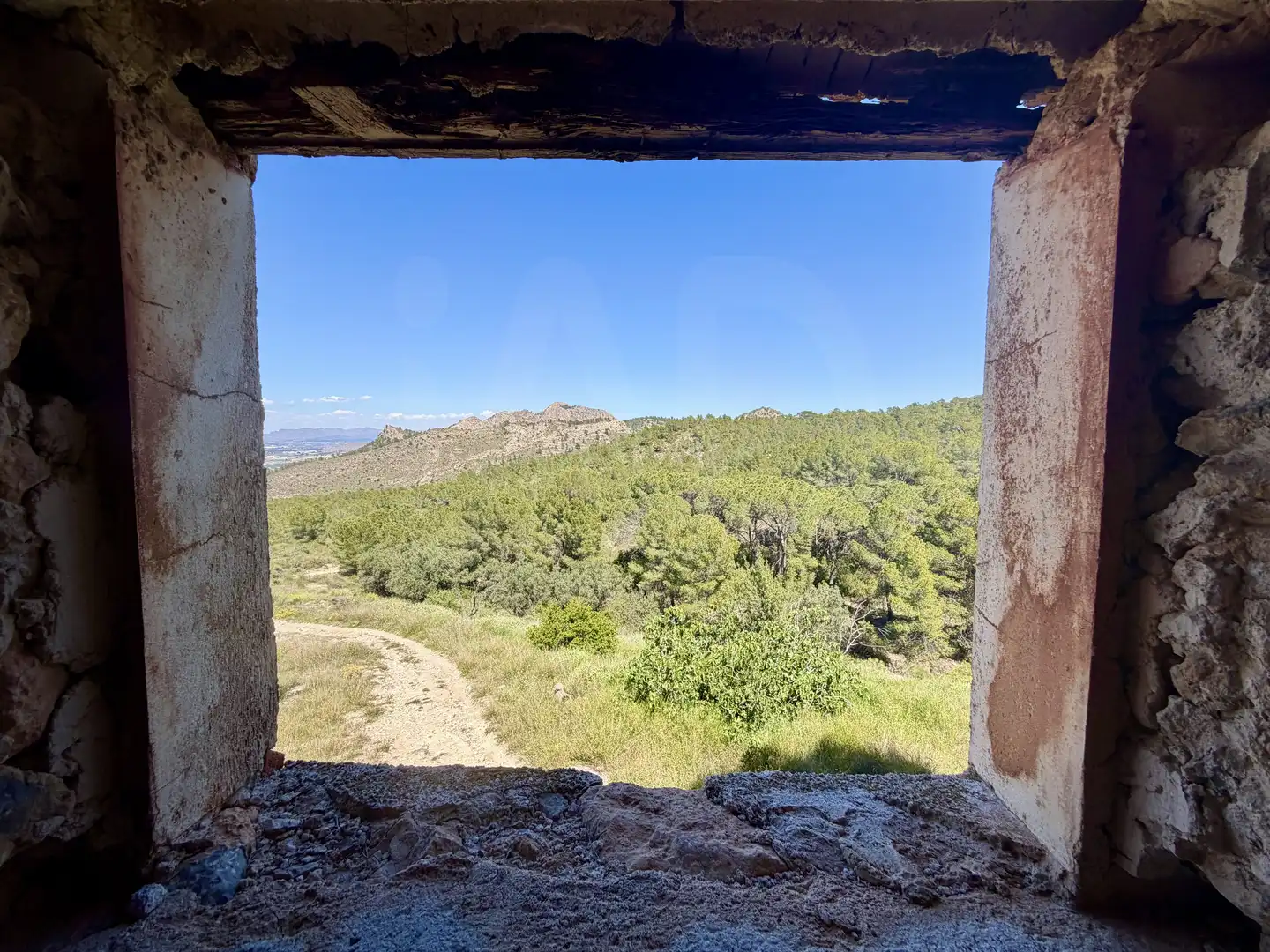 Terrain rustique à vendre à Cieza, imagen 14