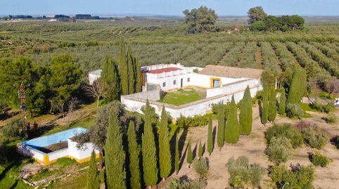 Preciosa finca con cortijo y olivar en Marchena