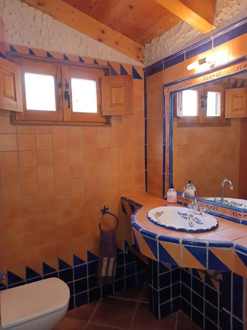 Baño de Casa o chalet en venta en Renedo de Esgueva con Jardín privado