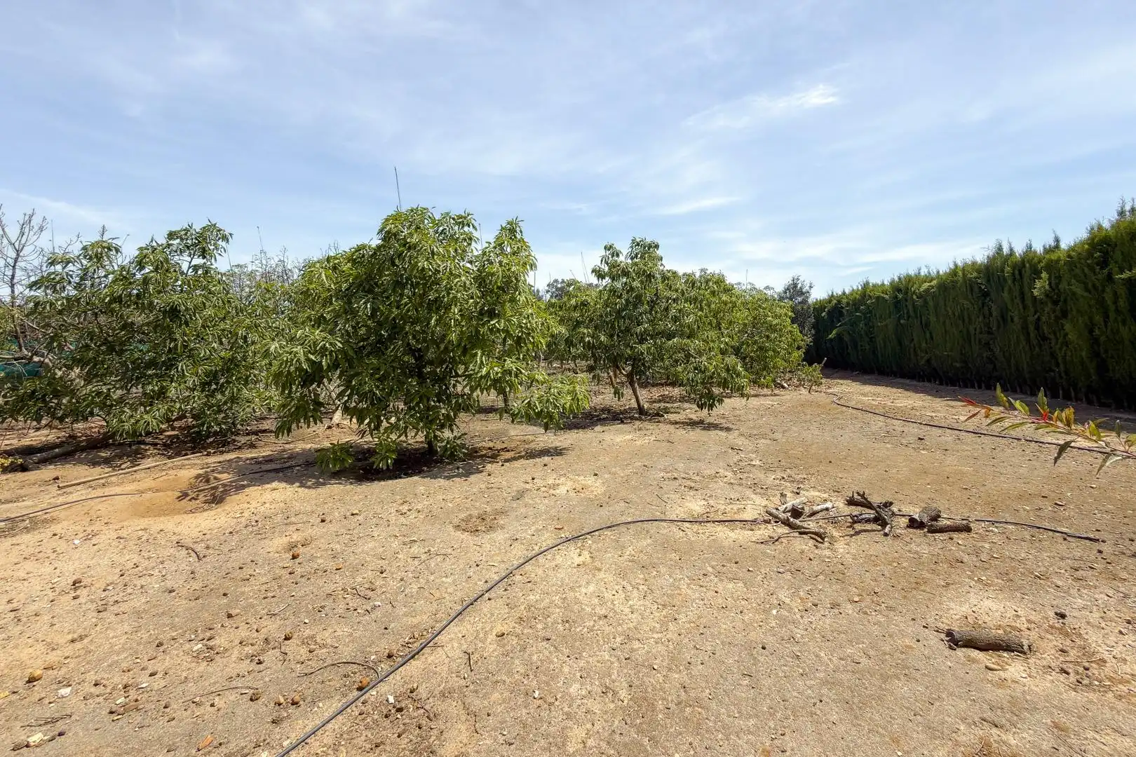 Wohnbaugrundstück zum Verkauf in El Retiro - Parque Atlántico - Ronda este, imagen 67