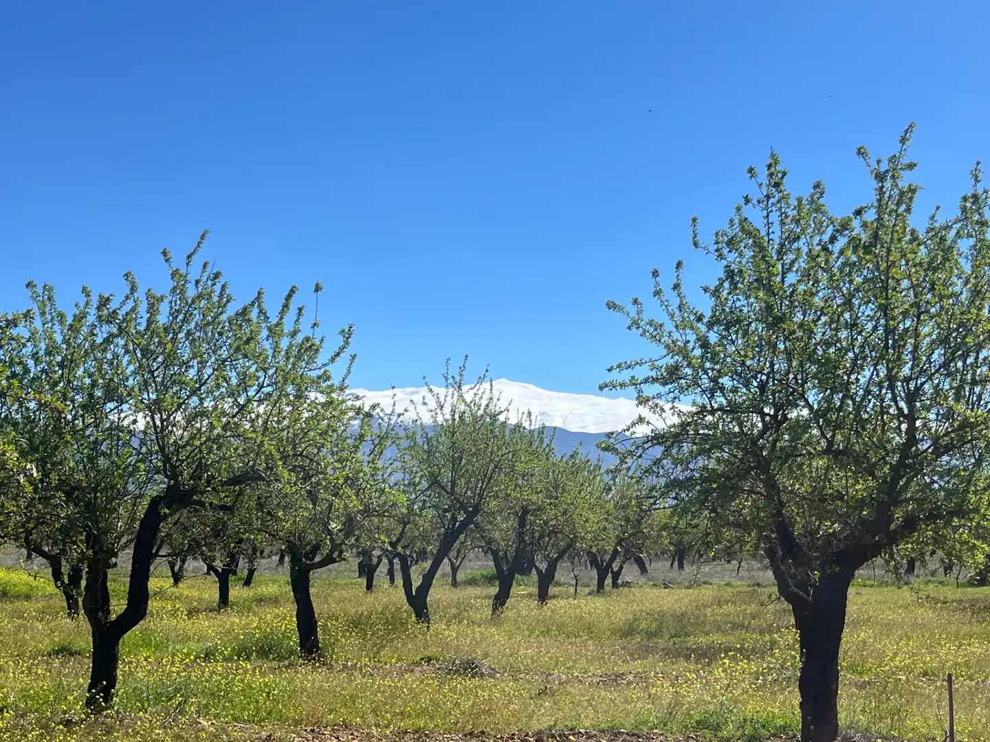 Rustikales Grundstück zum Verkauf in Camino de la Sierra, imagen 14