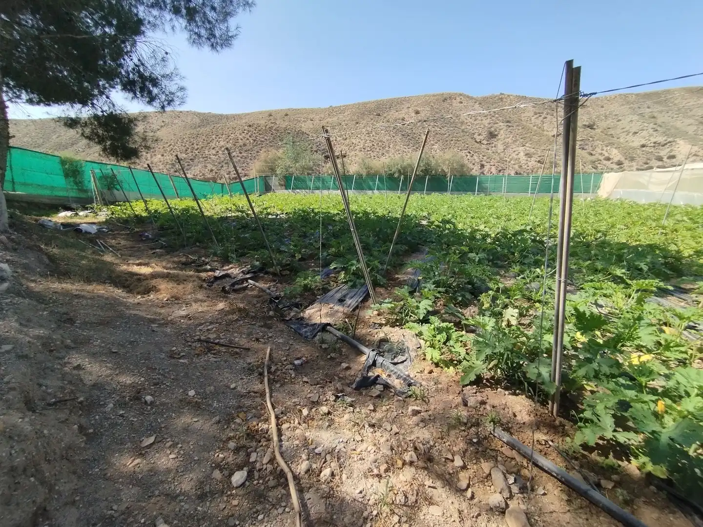Terreno rustico in vendita a Santa Fe de Mondújar, imagen 43