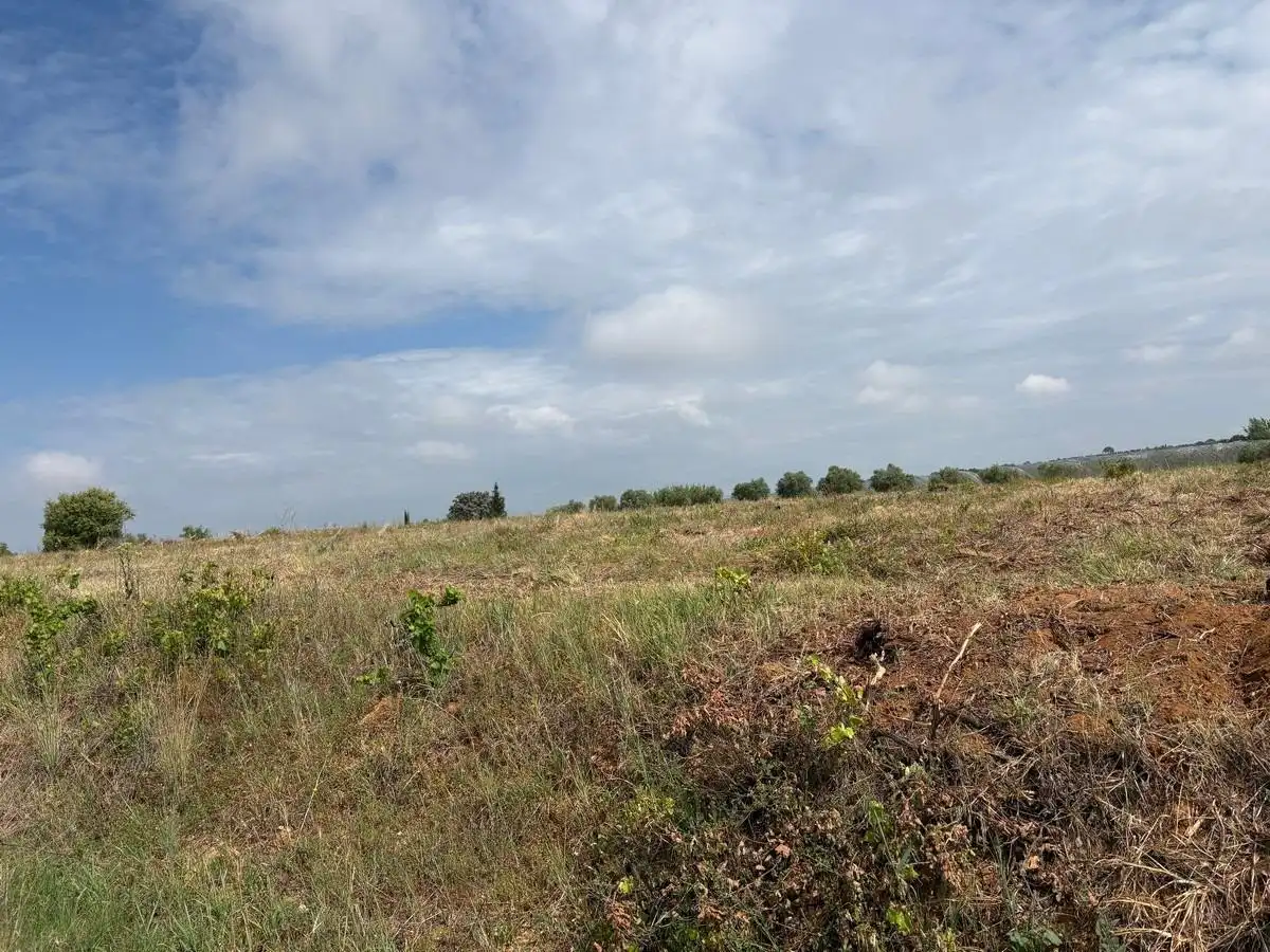 Terreno rustico in vendita a Almonte ciudad, imagen 13