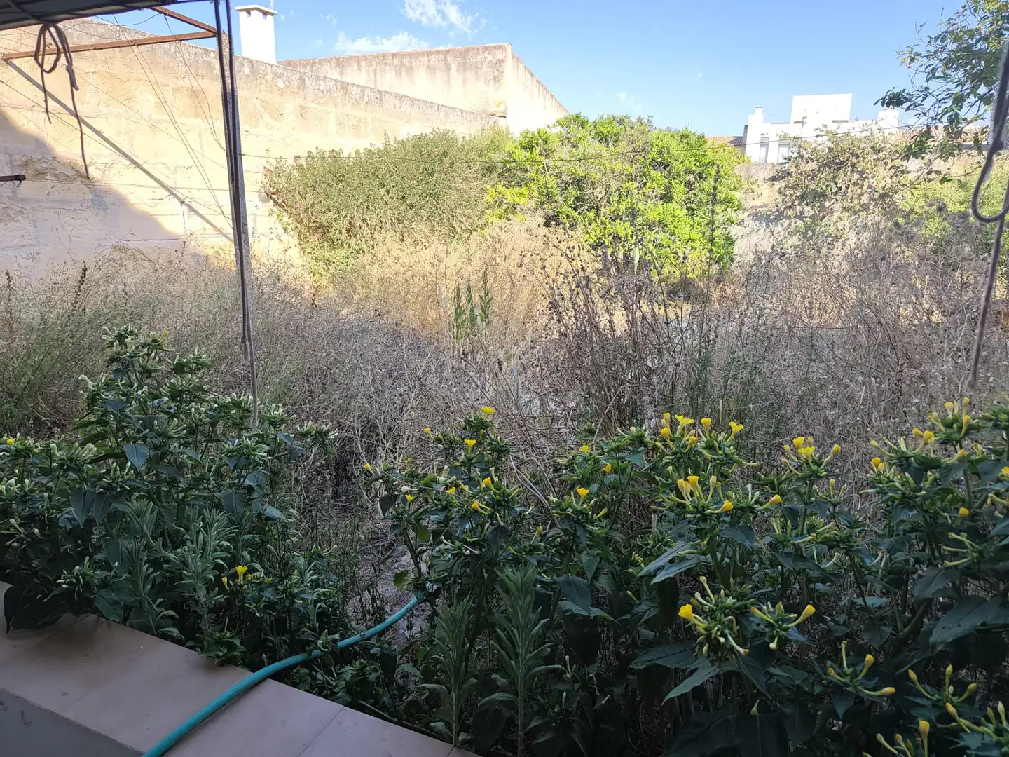 Casa o xalet en venda en Ariany amb Jardí privat, Terrassa i Traster