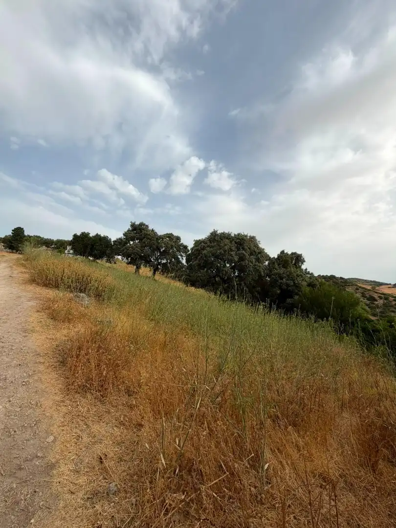 Rural land for sale in Morón de la Frontera, imagen 7