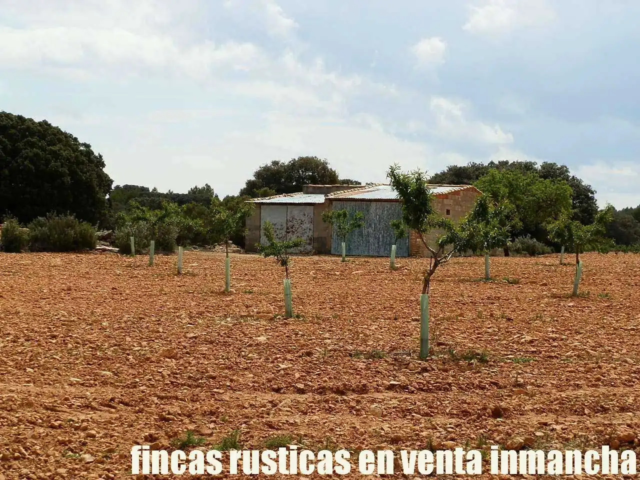 Terreni e lotti in vendita a Villarrobledo, imagen 22