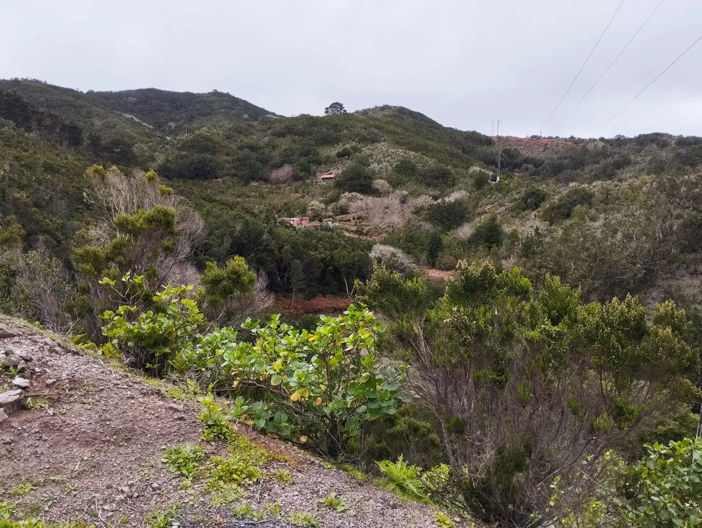 Finca rústica en venta en Agulo